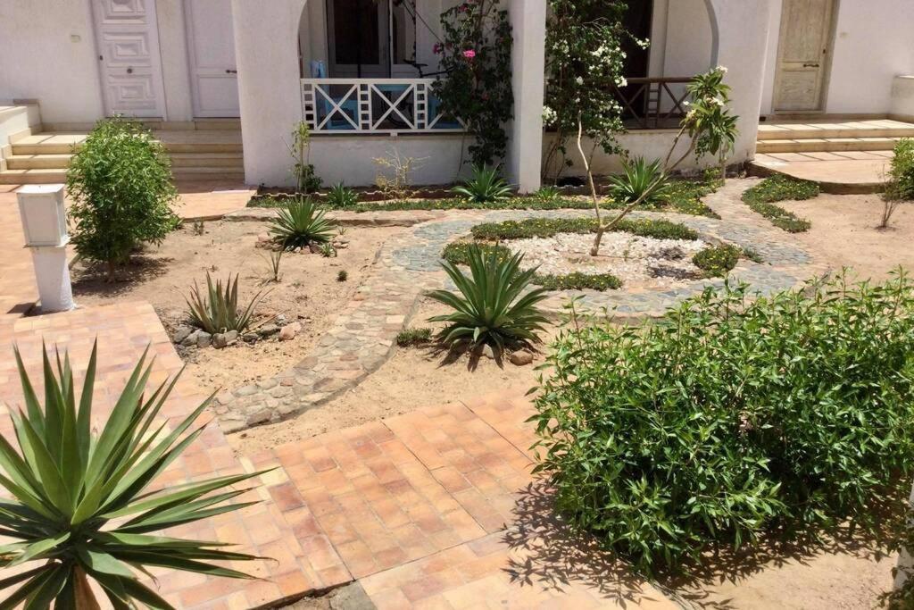 Beyt Alzohour - Casa Dei Fiori Apartment Dahab Exterior photo